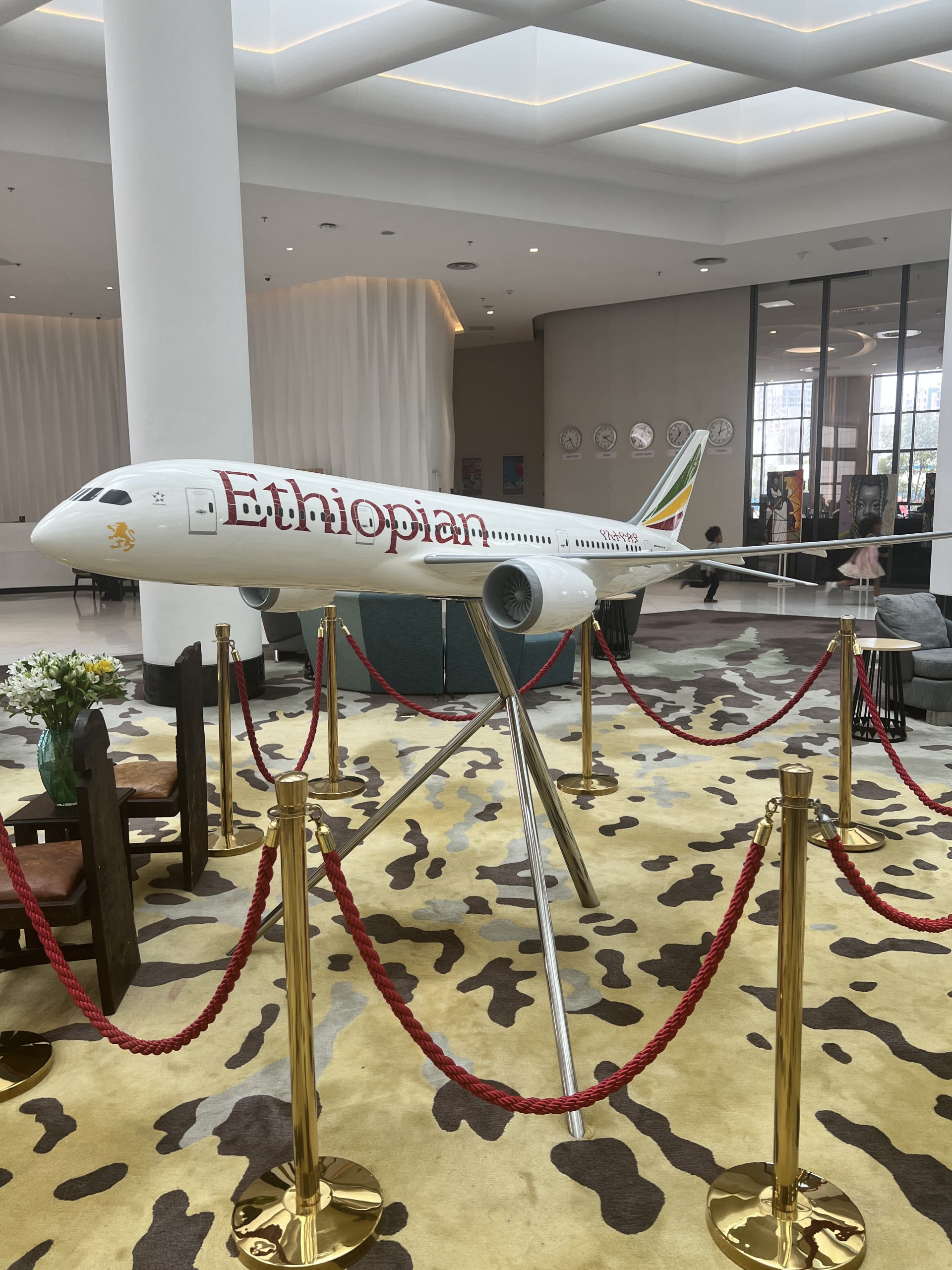 Ethiopian airlines provided a hotel for my scheduled layover